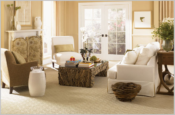 Professional residential carpet cleaning